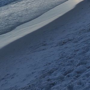 Meet your Posher, Chelsea